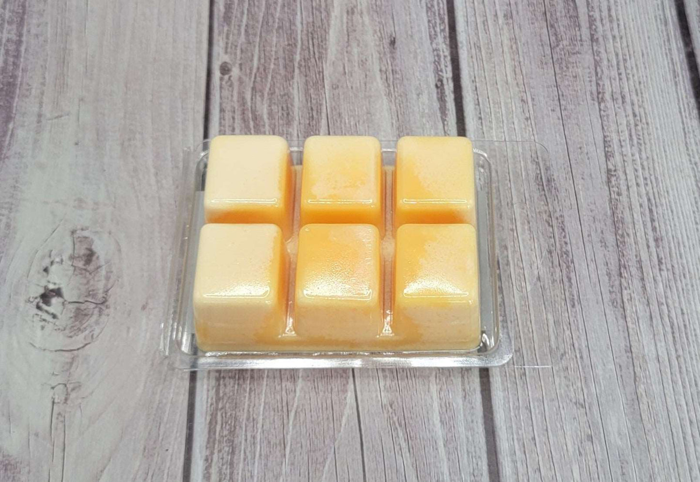 Doodlebug Soy Wax Melt