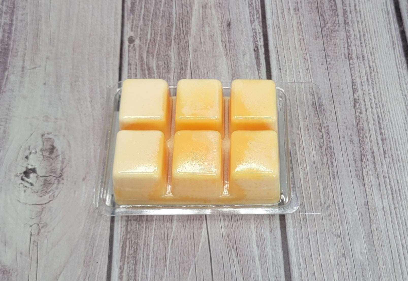 Doodlebug Soy Wax Melt